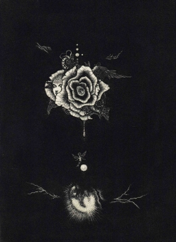 薔薇の雫1994年24.5×18cm.jpg