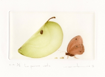 138.-La-pomme-verte「青りんご」84×152mm-1997.jpg